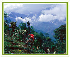 Sikkim Travel Vacations
