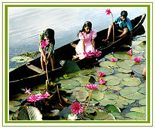 Alleppey Travel Vacations