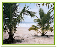 Marari Beach, Cochin Holiday Vacations