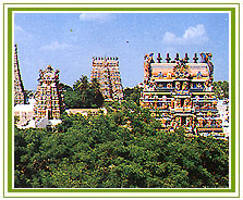 Meenakshi Temple, Madurai Vacations